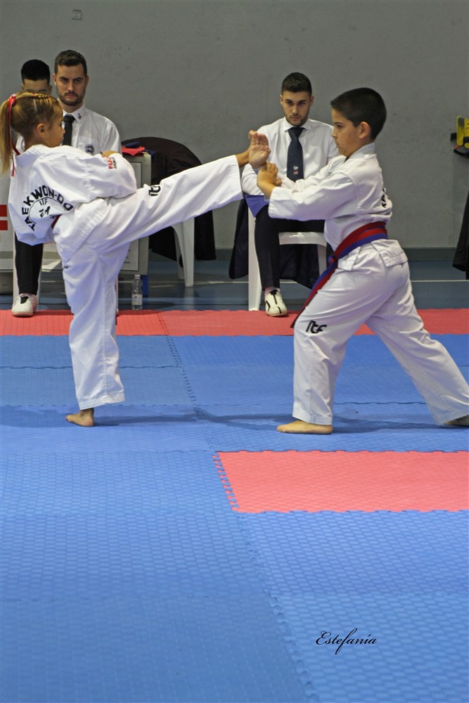 Copa Seul 2018 (371).jpg